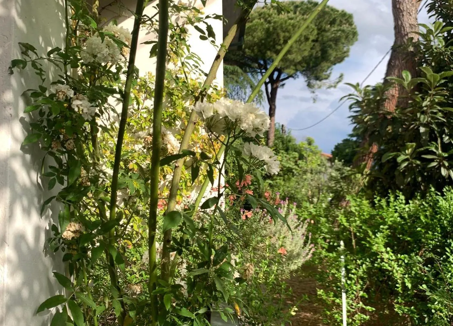 Beau Rivage - Room Studio In Villa Santarcangelo di Romagna Lejlighed